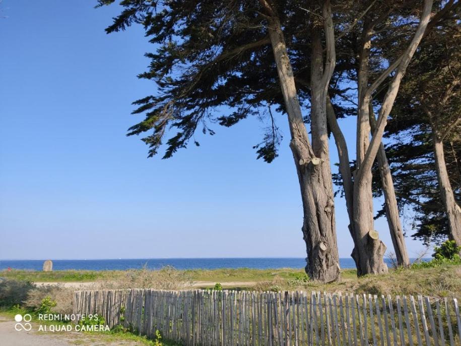 Logement En Rdc Port Haliguen Quiberon Exterior foto